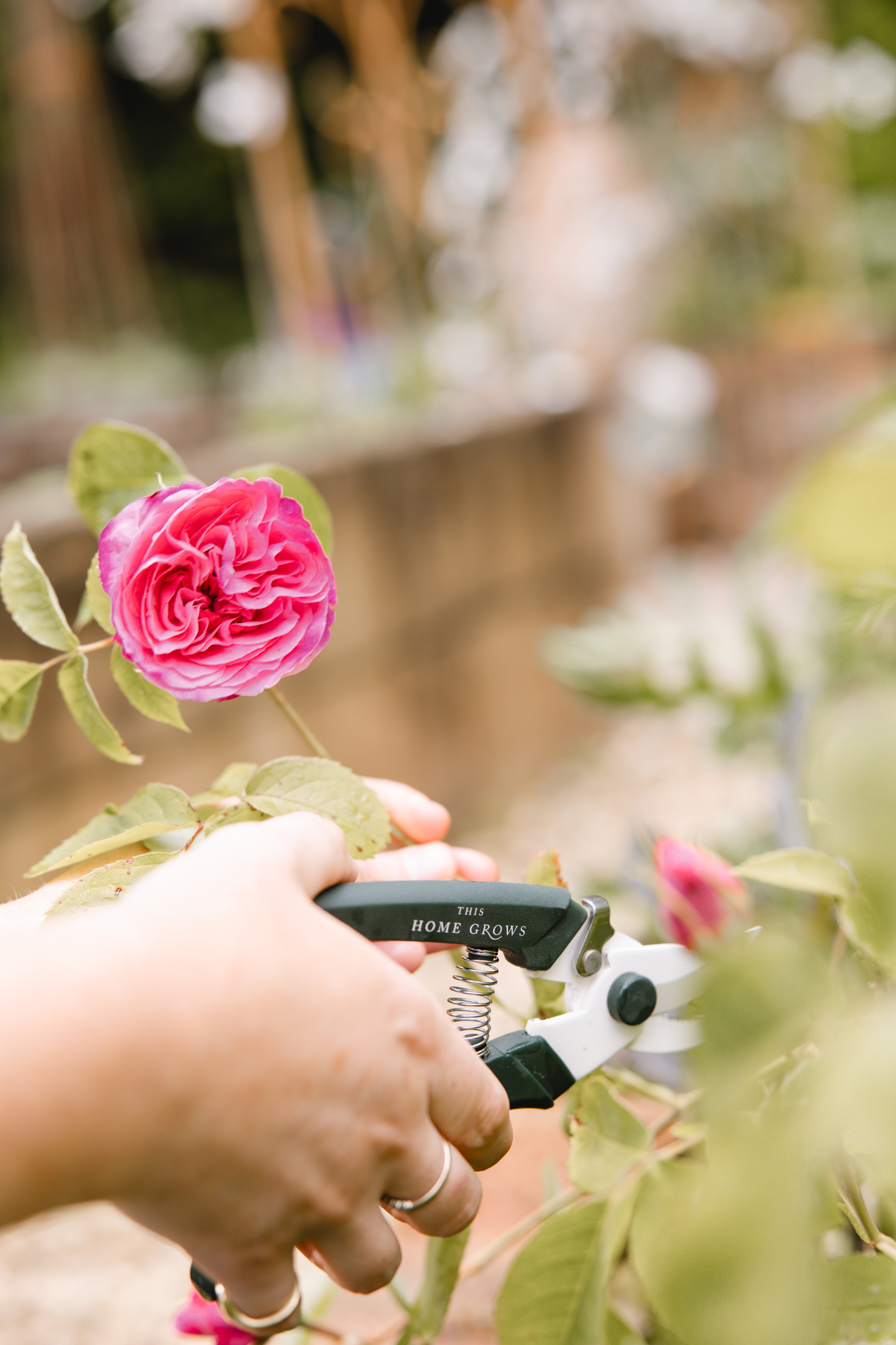 Floristry Tools