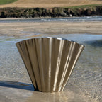 The Shell Vase