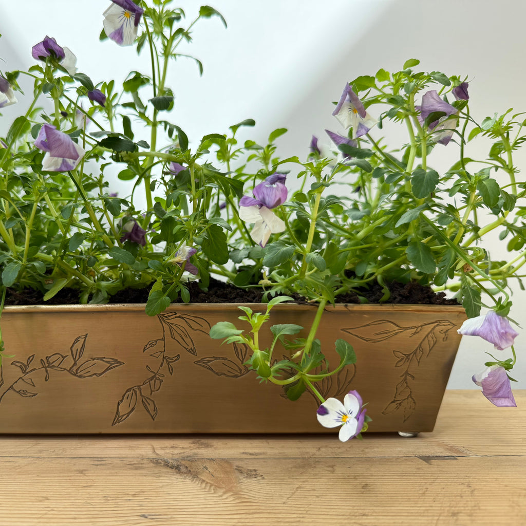 Brass Leaf Planter