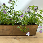 Brass Leaf Planter