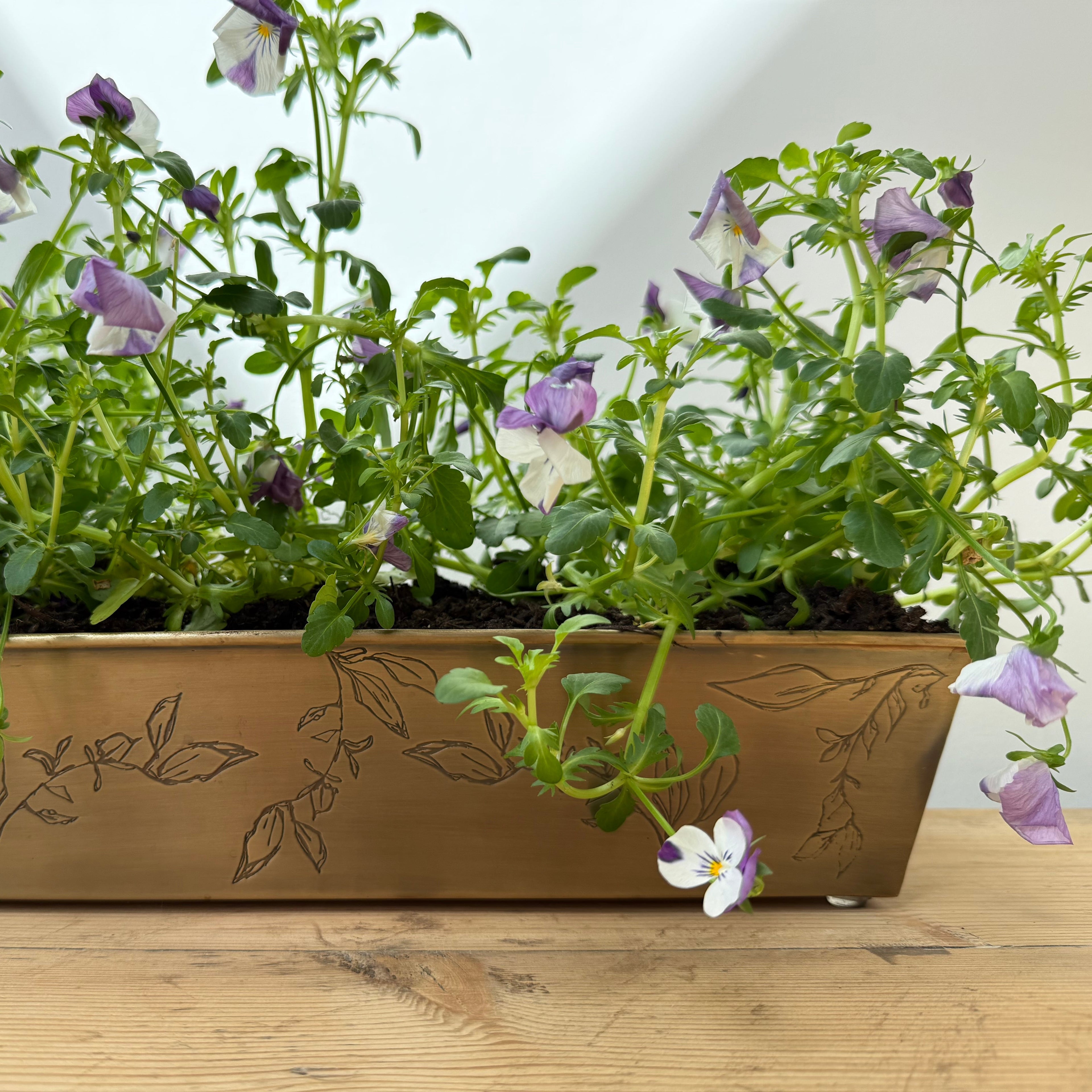 Brass Leaf Planter