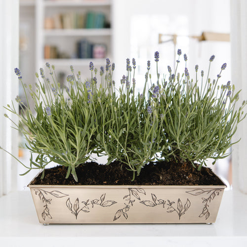 Brass Leaf Planter