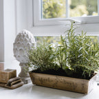 Brass Leaf Planter