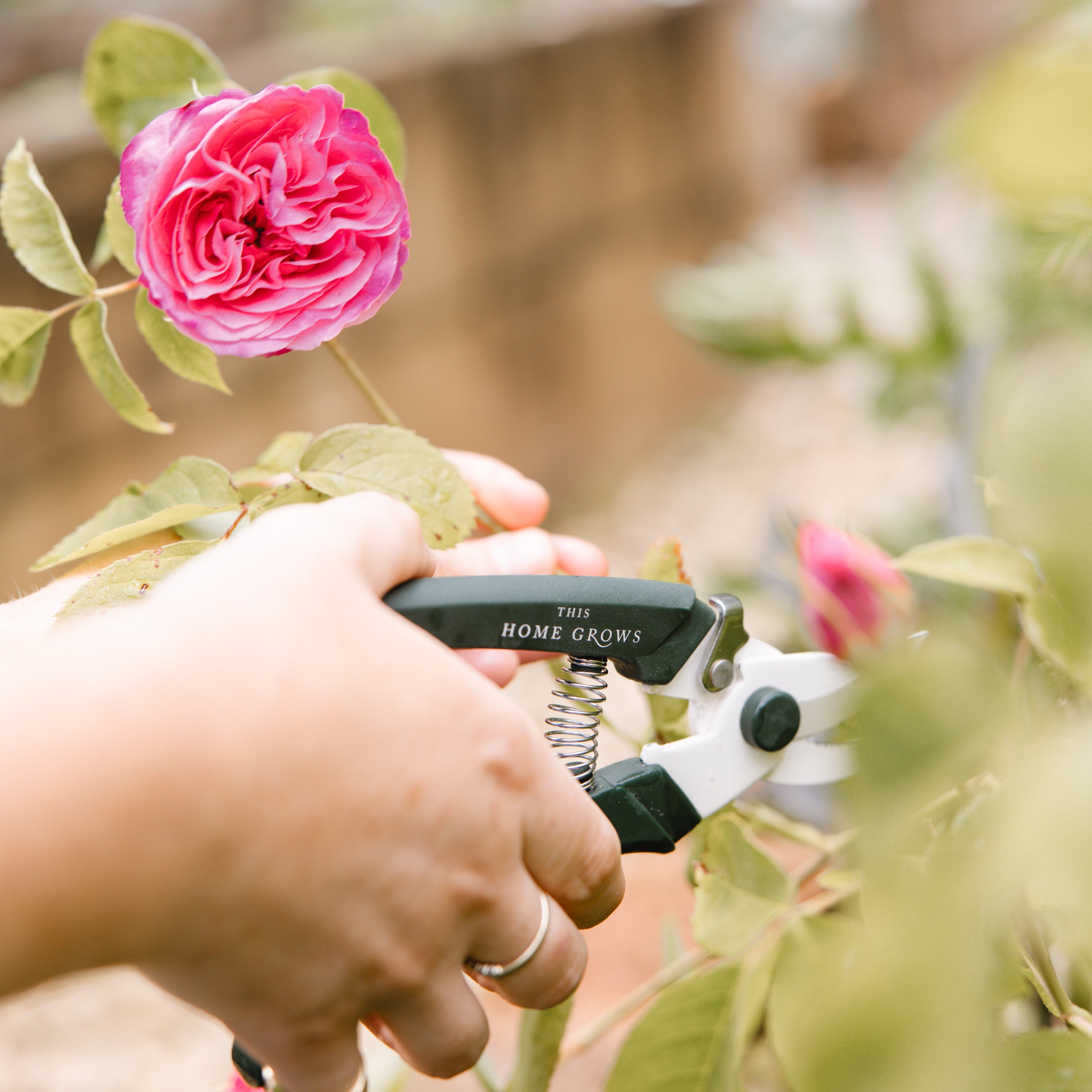 THG Secateurs
