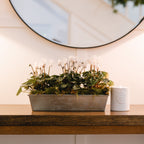 Dwell Candle