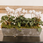 Stainless Ivy Planter
