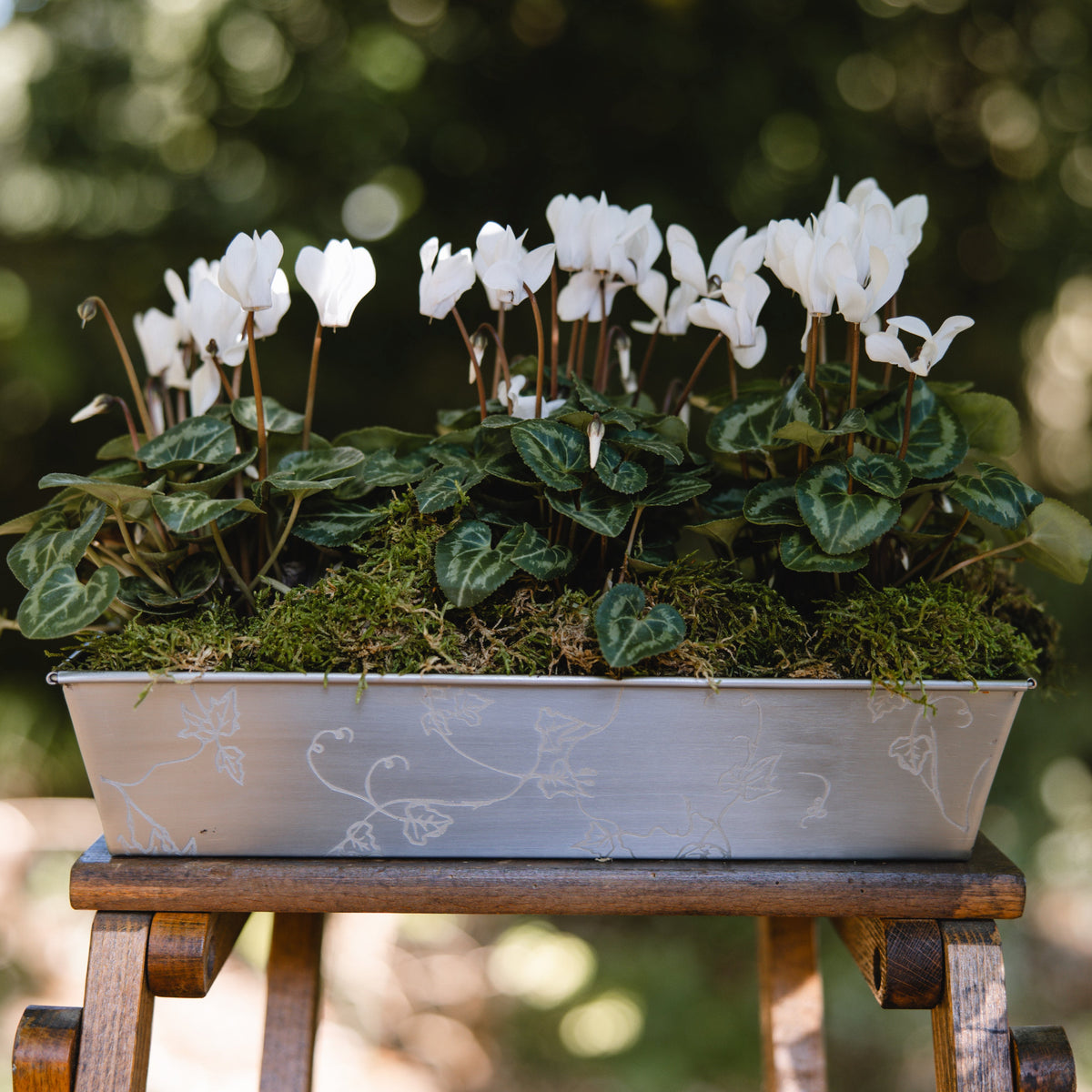 Stainless Ivy Planter